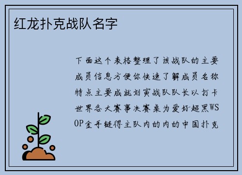 红龙扑克战队名字